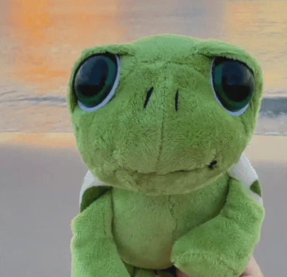 Pookie Turtle Plushie