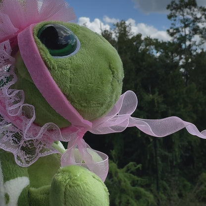 Pookie Turtle Plushie