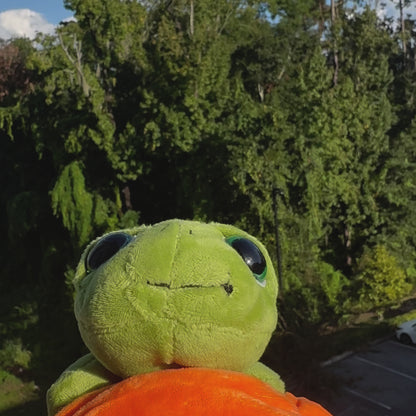 Pookie Turtle Plushie